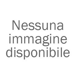 SILICATO LEGANTE PER CO2