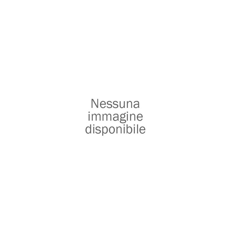SILICATO LEGANTE PER CO2